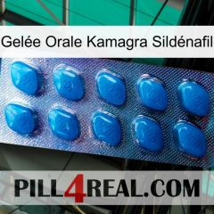Gelée Orale Kamagra Sildénafil viagra1